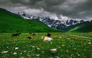 Culture and Hiking Tour in Georgia - 14 days